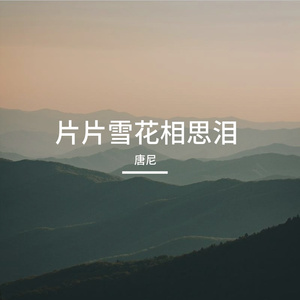 片片雪花相思泪