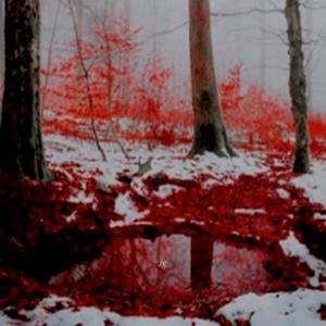 я хочу чтобы твоё тело сожрали стервятники