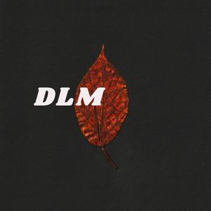 DLM (feat. Raíz)