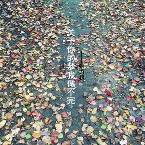 关于你的梦我做不完