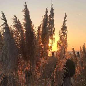 从没去过巴塞隆纳