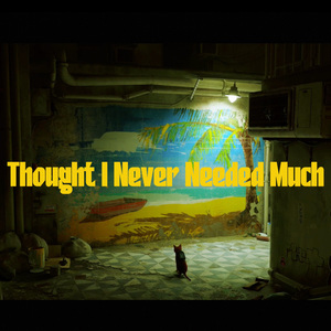 Thought I Never Needed Much