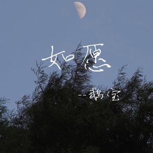 如愿