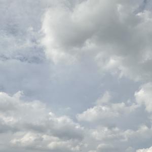 想你时风起-（原唱：单依纯）握不住的盛夏