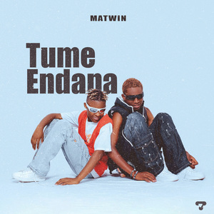 Tume Endana