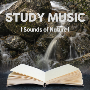 긍정의 힘 (빗소리)