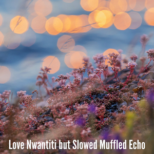 Love Nwantiti but Slowed Muffled Echo