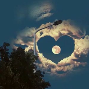 爱似水仙（男声温柔版）