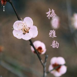 忘尘 (Forget Dust)