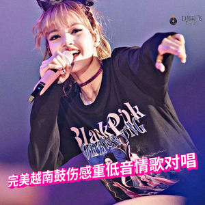 DJ国飞-完美越南鼓伤感重低音情歌对唱（DJ国飞 remix）