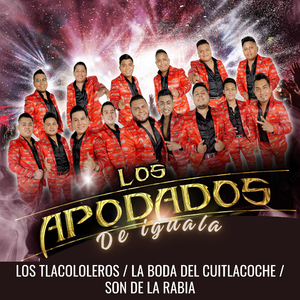 Los Tlacololeros / La Boda Del Cuitlacoche / Son De La Rabia