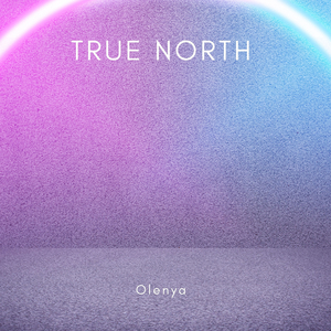True North