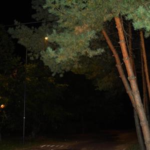 Caves (Voyi Original Soundtrack)