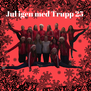 Vår julskinka har rymt