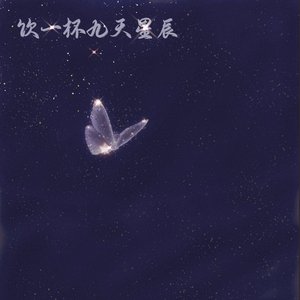 饮一杯九天星辰