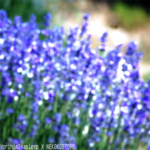 十八岁之前写的最后一首烂歌 ft.诗岸