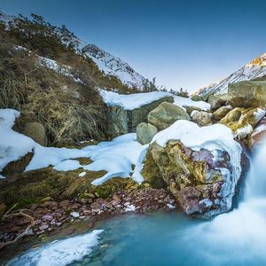 明月别枝惊鹊 (12)