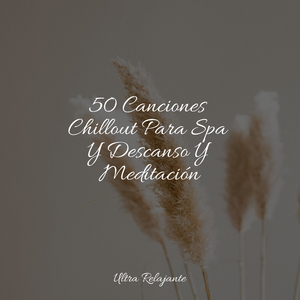 Meditación Entusiasta