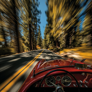 Dynamic Drive