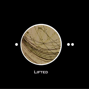 Gravity (Original Mix)