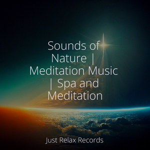 Midnight Melodies Along the Shore