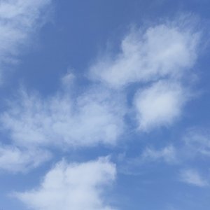 记念（Cover雷雨心）