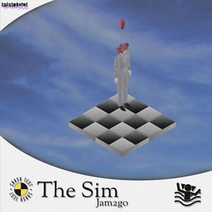 The Sim