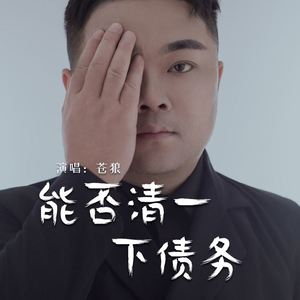 能否清一下债务