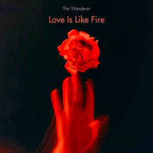 Love Is Like Fire