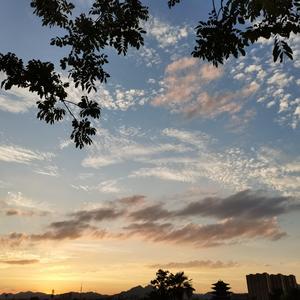 也曾对爱迷茫（串烧）.wav（翻自 蔡健雅）