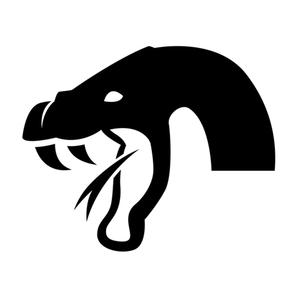 Joker. (Instrumental)