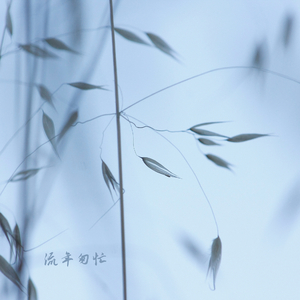 亭台楼阁 (古筝)