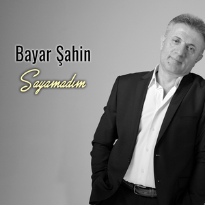 Sayamadım