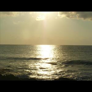 Mare Animarum