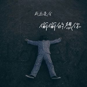 我还是会偷偷的想你