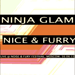 Tester (Live at Noise & Fury Festival, Moscow, 16.06.11)