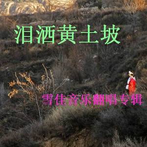 谢泽嘉-叫声妹妹泪莫流