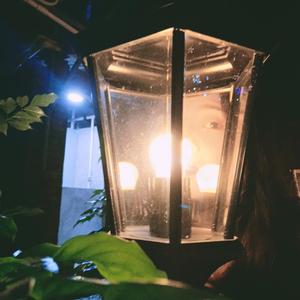 早春的树-张开水壶