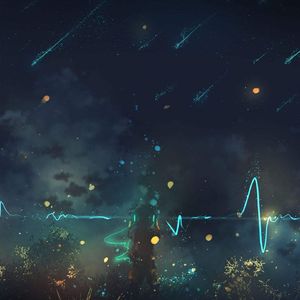 我不是你的宋冬野