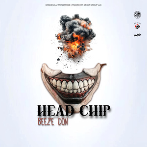 Head Chip