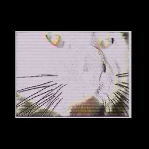 在寂静结界里发疯