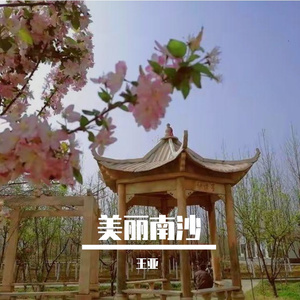 美丽南沙