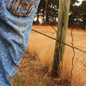 Fenceposts and Faded Jeans