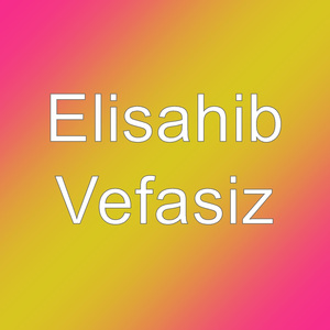 Vefasiz