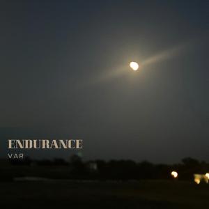 Endurance