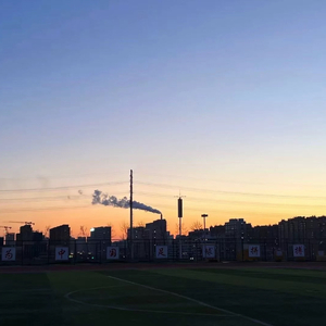 那年夏天的汗水