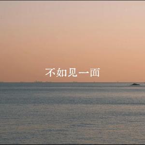 不如见一面