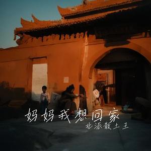 妈妈我想回家