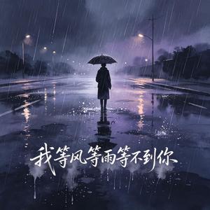 我等风等雨等不到你（男声版） (feat. 小阿涛)