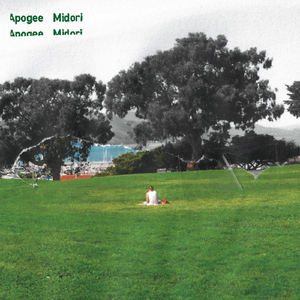 Midori